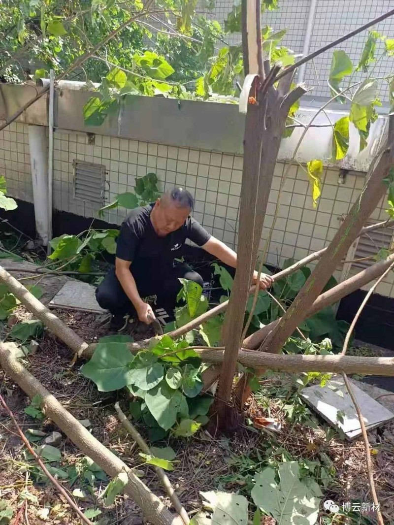 ŦԼ����588888��·�������(�й�)���޹�˾